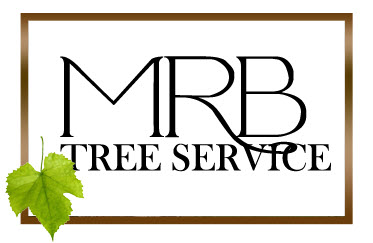 Dayton Ohio Tree Service by MRB Tree Service