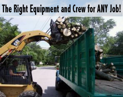 The Right Equipment and Crew for Any Tree Service in Dayton Ohio - MRB Tree Service