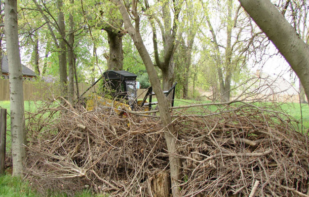 Land Clearing and Brush Removal Services in Dayton Ohio by MRB Tree Service