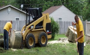 Hazardous Tree Removal in Dayton Ohio by MRB Tree Services