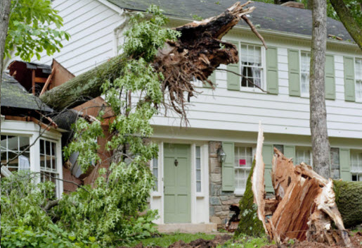 24 Hour Emergency Tree Removal Service in Dayton Ohio - MRB Tree Service