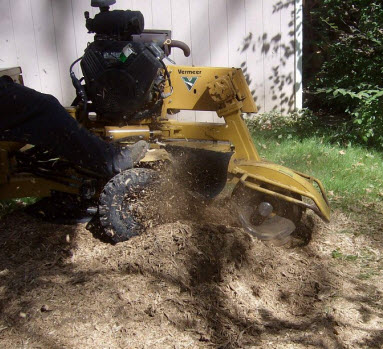 Stump Grinding Service in Dayton Ohio by MRB Tree Service